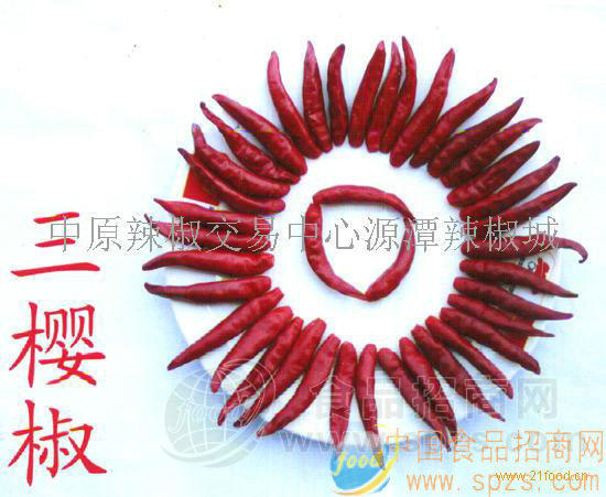 无公害三樱小辣椒