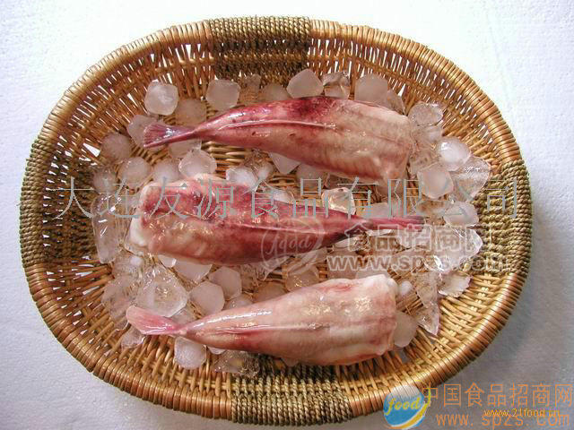 供應(yīng)安康魚肘