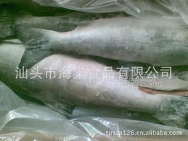 大馬哈魚(yú)（三文魚(yú)）