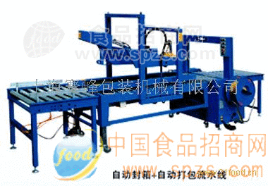 FY6550封箱機(jī)配流水線
