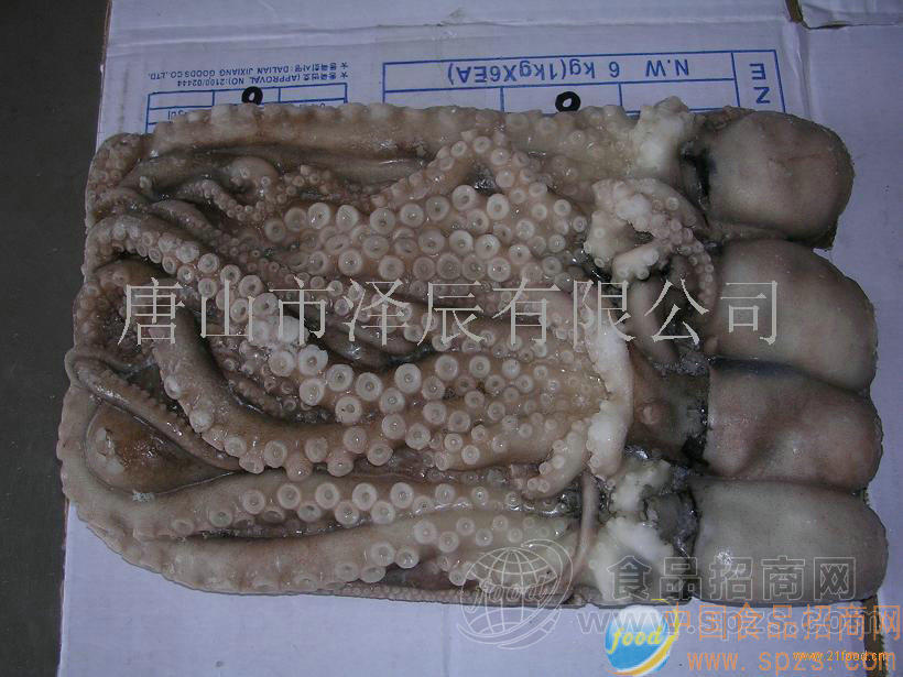 供应冻章鱼