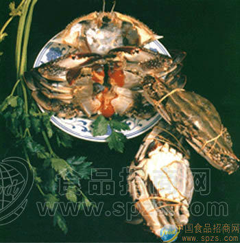 红膏梭子蟹