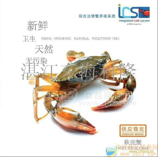 供应软壳蟹
