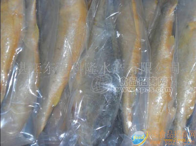 東海黃魚(yú)