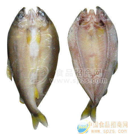 供應(yīng)香魚(yú)片