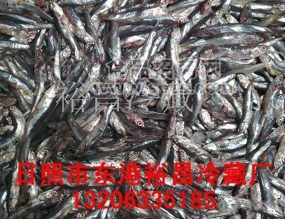 供應(yīng)飼料魚（魚食、蟹食、甲魚