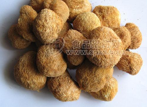 低价批发一级猴头菇60元/公斤