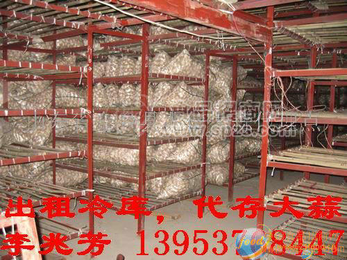 出租大蒜蒜苔冷库