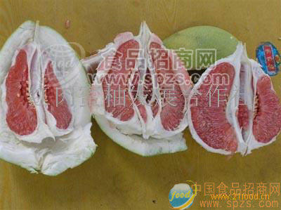供应绿荣红肉蜜柚