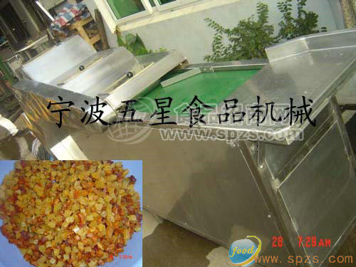 供应新果脯切丁机