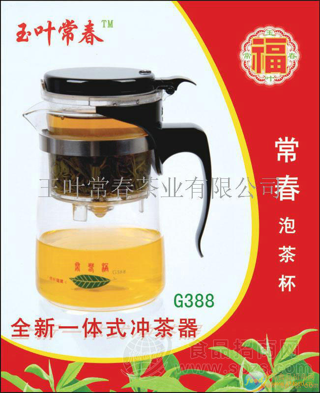 常春杯