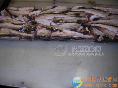 阿拉斯加鱈魚(yú)