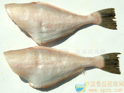 三去馬面魚(yú)