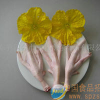 进口鸭脚