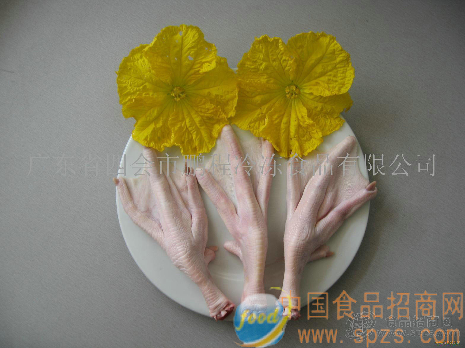 进口鸭脚