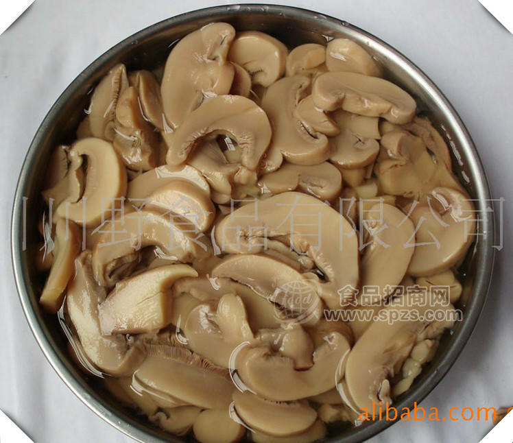 供應(yīng)優(yōu)質(zhì)蘑菇罐頭片菇 slice mushroom