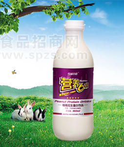 营养6+1植物蛋白饮料