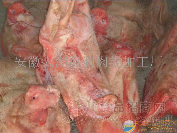冷冻鲜猪头