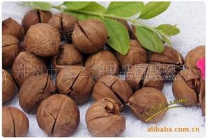 批发供应核桃 手剥核桃 营养丰富