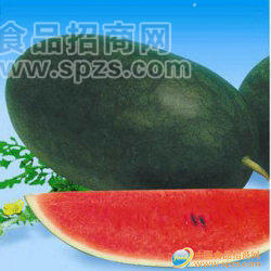 供應(yīng)黑無籽西瓜基地，黑美人西瓜產(chǎn)地