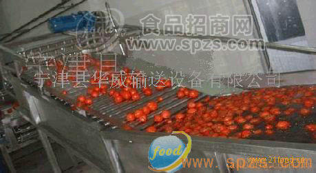 供应水果清洗网带