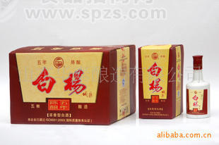 白楊老窖