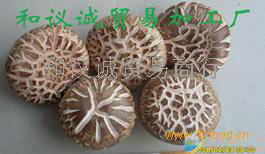 供应板菇
