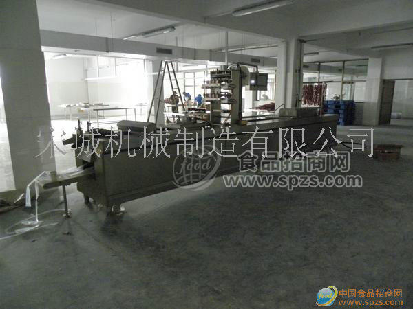 供应火腿香肠腊肉抽真空成型包装机（高端）