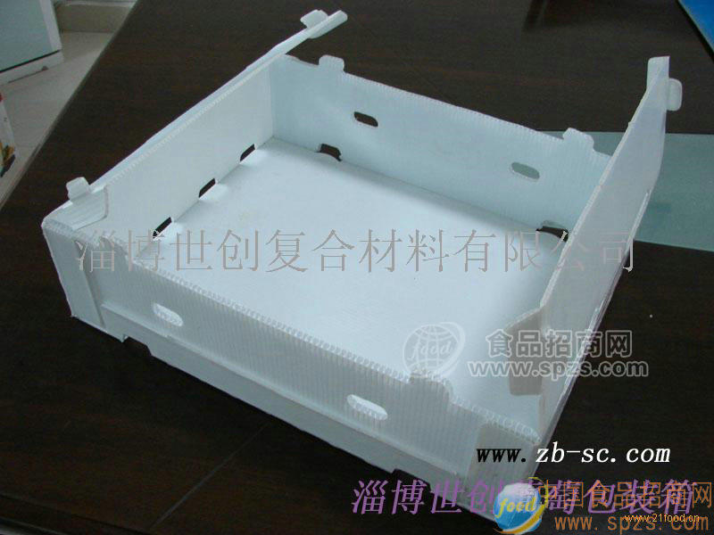 供应淄博世创优质葡萄包装箱