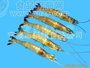 冷冻水产品 对虾