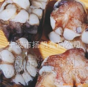 高蛋白低冻鱿鱼颈冰冻海鲜招商