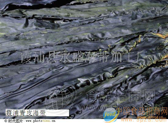 福建霞浦干海带