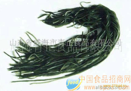 盐渍海带丝