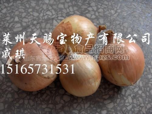 供应莱州天赐宝黄皮洋葱
