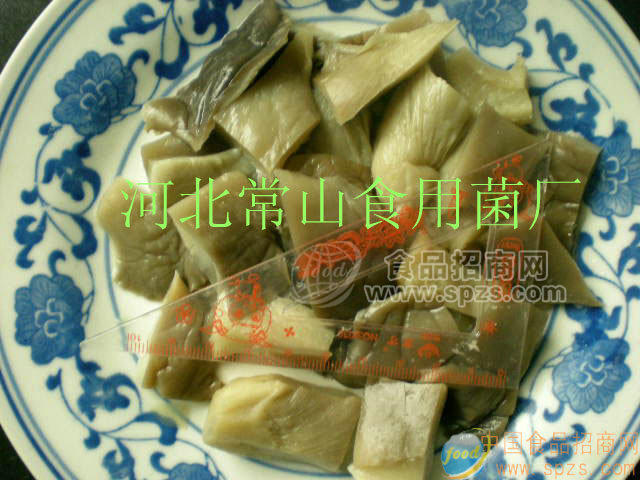 供应盐渍平菇块