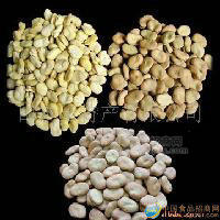 蚕豆，蚕豆瓣蚕豆仁，统货，杂豌豆