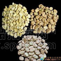 蚕豆，蚕豆瓣蚕豆仁，统货，杂豌豆