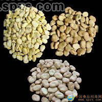 手拣蚕豆机选蚕豆，蚕豆瓣蚕豆仁，等各种杂粮