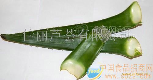 無公害農(nóng)產(chǎn)品庫拉索蘆薈鮮葉