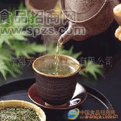 原產(chǎn)地茶葉 山里向云霧茶