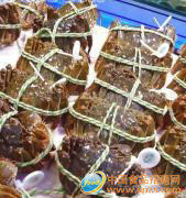 供应正宗阳澄湖大闸蟹礼盒十只装(公5.0+母4.0两)批发
