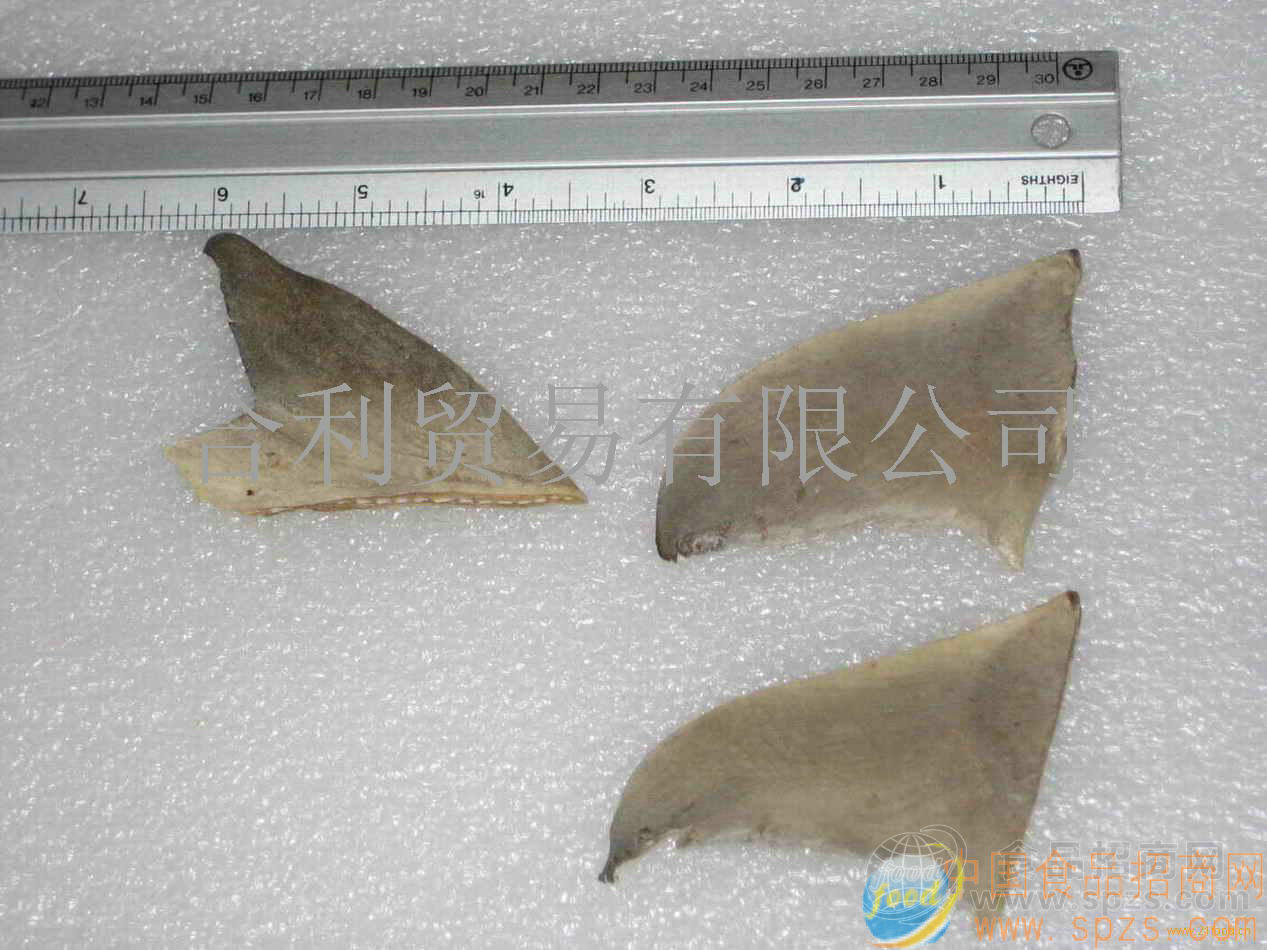 上好特级鱼翅