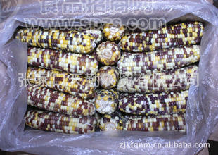 销售速冻鲜食糯玉米