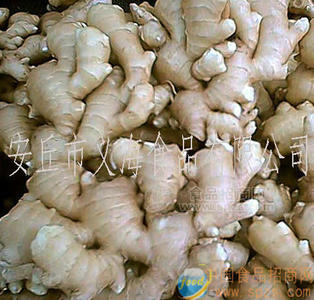 出口级生姜以及季节性蔬菜