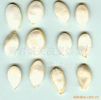 椒盐OEM 白瓜子