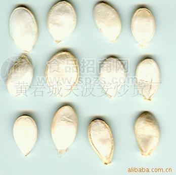 椒盐OEM 白瓜子