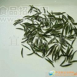 供应优质有机无公害绿茶--雀舌