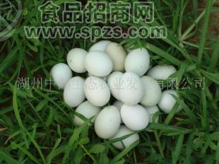 供应优质农产品礼盒湖润牌绿壳鸡蛋