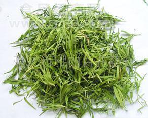 供應(yīng)茶竹葉青