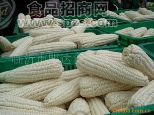 速冻玉米棒，白糯，黄糯，花糯